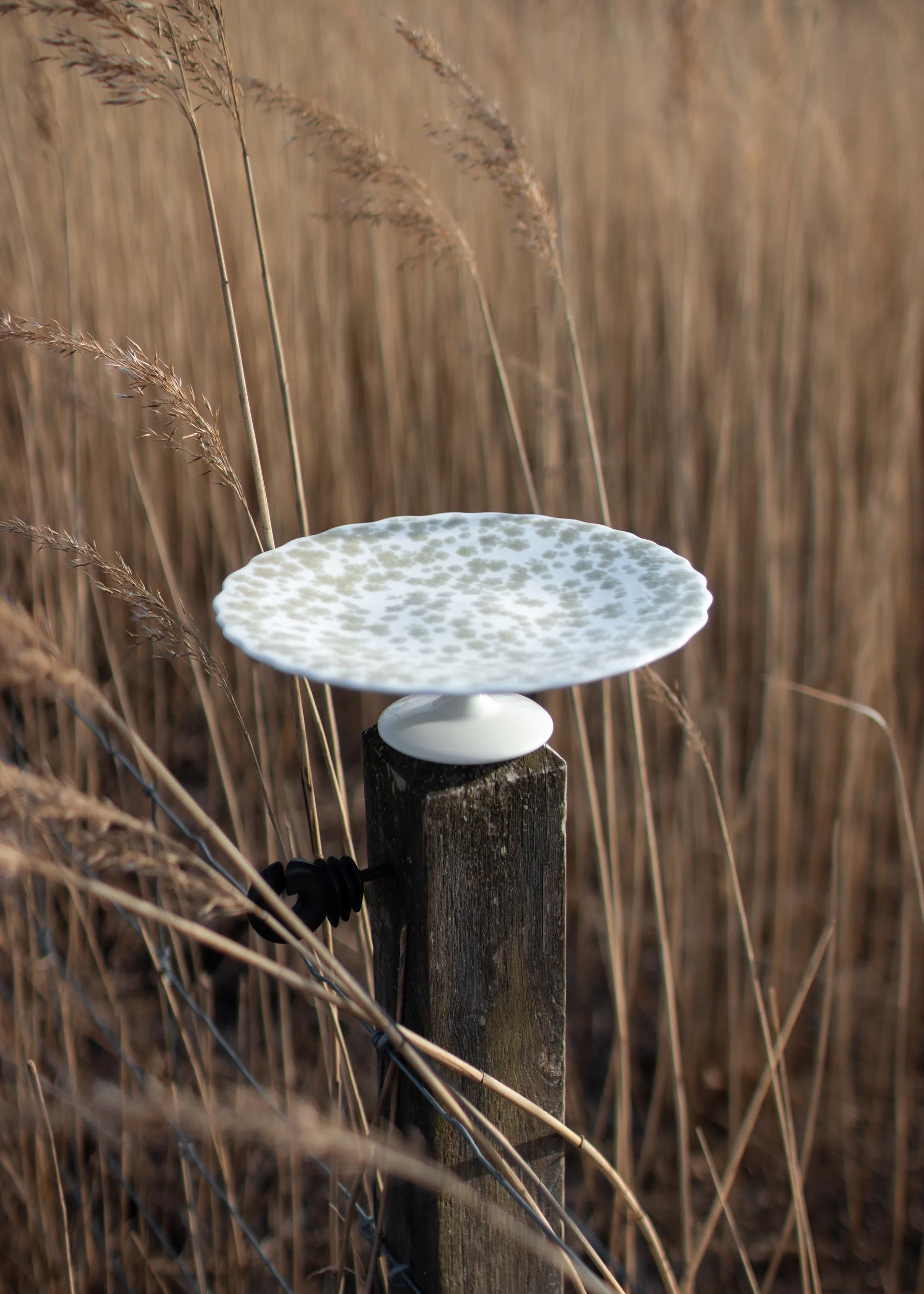 Slåpeblom Tortenteller Ø21cm, Grün Wik & Walsøe